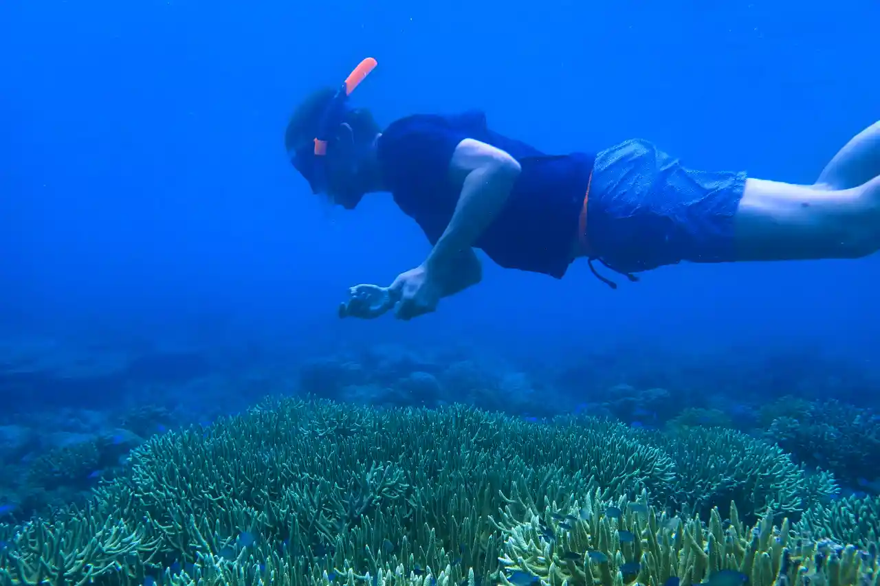 Lakbay Palawan Sibaltan Binulbulan Freediving